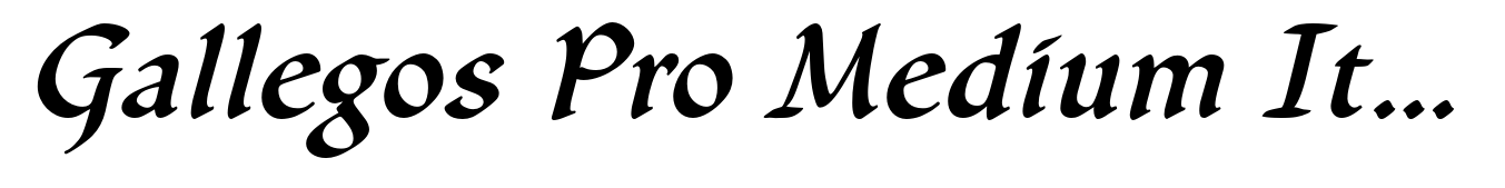 Gallegos Pro Medium Italic